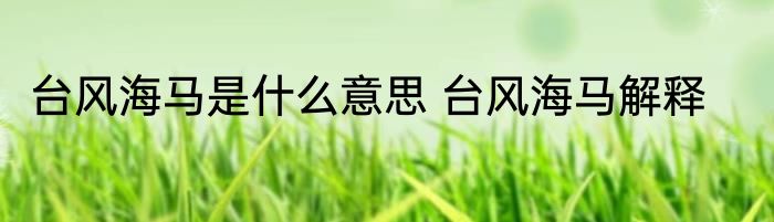 台风海马是什么意思 台风海马解释