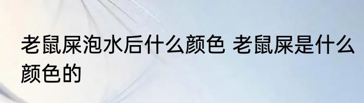 老鼠屎泡水后什么颜色 老鼠屎是什么颜色的