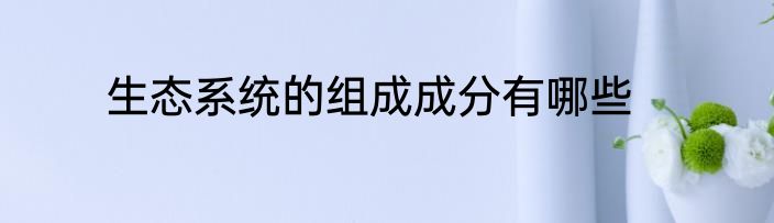 生态系统的组成成分有哪些