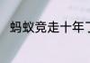蚂蚁竞走十年了是什么意思什么梗