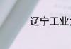 辽宁工业大学是小211吗