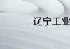 辽宁工业大学怎么样啊
