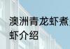 澳洲青龙虾煮多长时间 关于澳洲青龙虾介绍