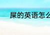 屎的英语怎么说屎的英语是什么