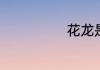 花龙是什么海鲜