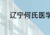 辽宁何氏医学院学费为何那么贵