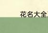 花名大全及花语花语举例