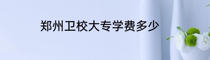 郑州卫校大专学费多少