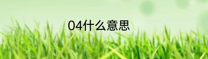 04什么意思