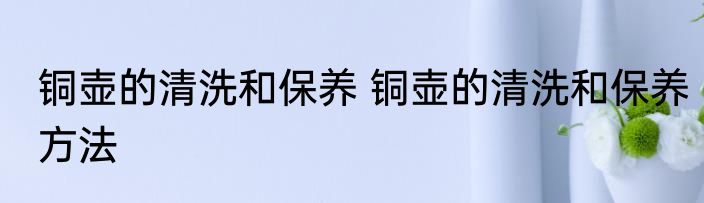 铜壶的清洗和保养 铜壶的清洗和保养方法