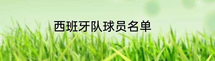 西班牙队球员名单