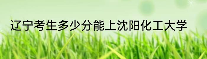 辽宁考生多少分能上沈阳化工大学