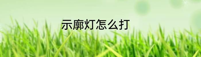 示廓灯怎么打