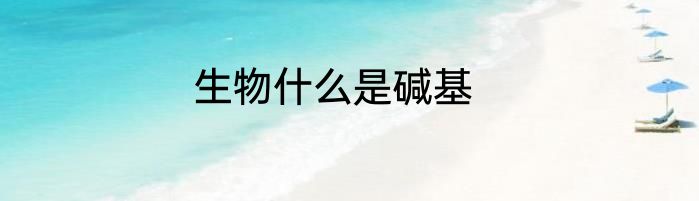 生物什么是碱基
