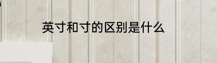 英寸和寸的区别是什么