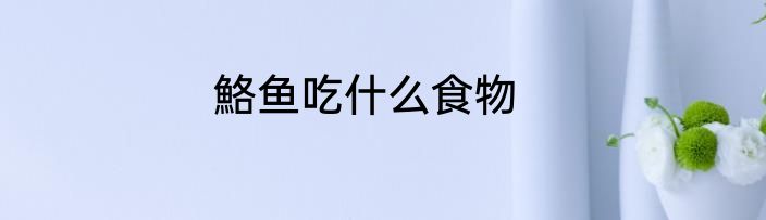 鮥鱼吃什么食物