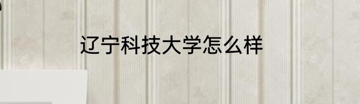 辽宁科技大学怎么样