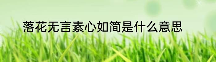 落花无言素心如简是什么意思