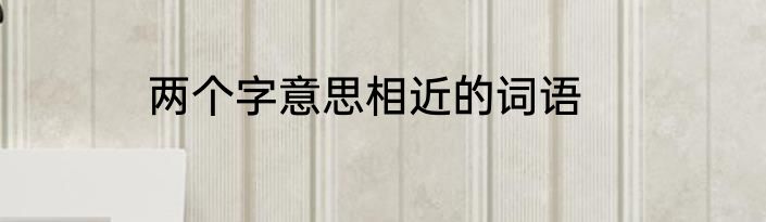 两个字意思相近的词语