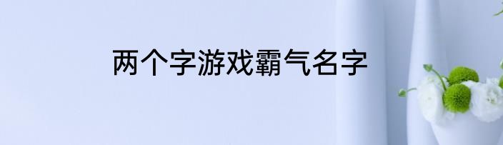 两个字游戏霸气名字