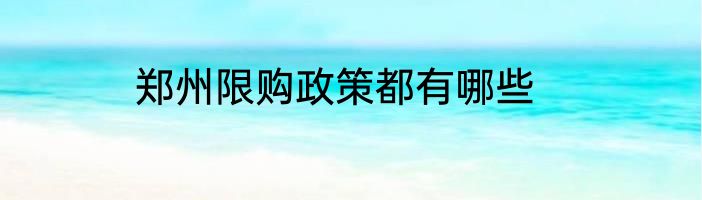 郑州限购政策都有哪些