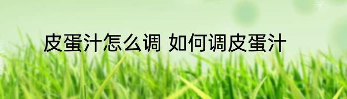 皮蛋汁怎么调 如何调皮蛋汁