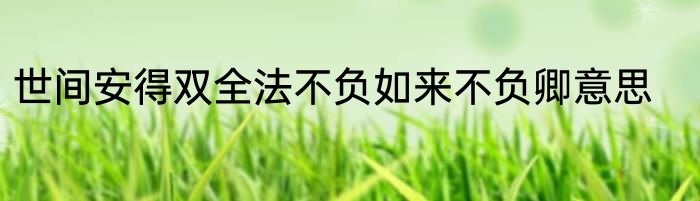 世间安得双全法不负如来不负卿意思