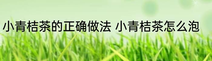 小青桔茶的正确做法 小青桔茶怎么泡