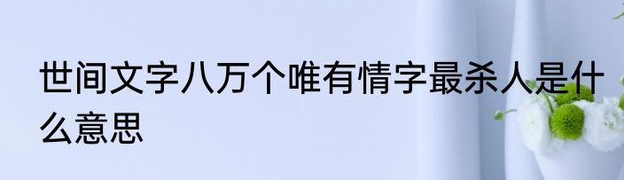 世间文字八万个唯有情字最杀人是什么意思
