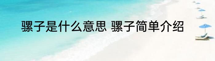 骡子是什么意思 骡子简单介绍
