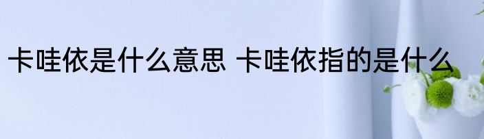 卡哇依是什么意思 卡哇依指的是什么