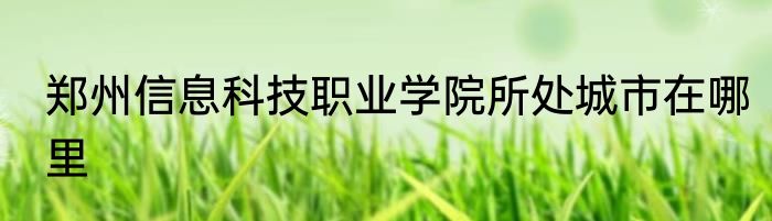 郑州信息科技职业学院所处城市在哪里
