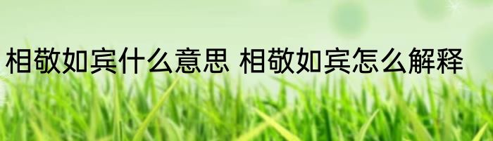 相敬如宾什么意思 相敬如宾怎么解释