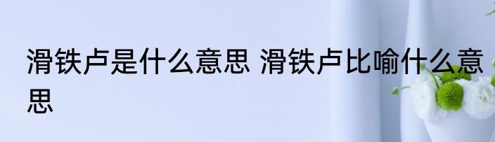 滑铁卢是什么意思 滑铁卢比喻什么意思