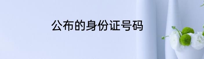 公布的身份证号码