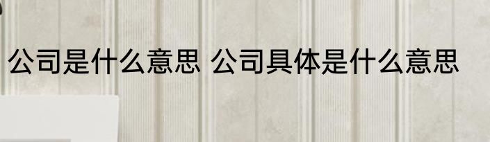 公司是什么意思 公司具体是什么意思
