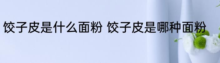 饺子皮是什么面粉 饺子皮是哪种面粉