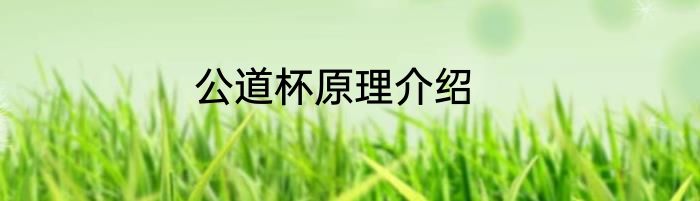 公道杯原理介绍