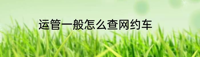运管一般怎么查网约车