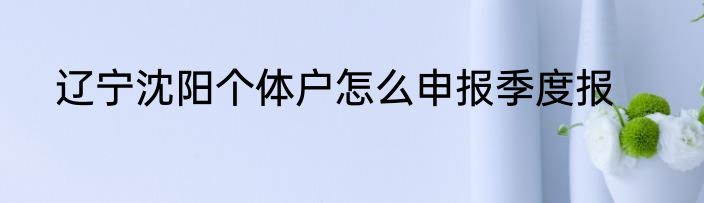 辽宁沈阳个体户怎么申报季度报