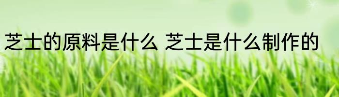 芝士的原料是什么 芝士是什么制作的