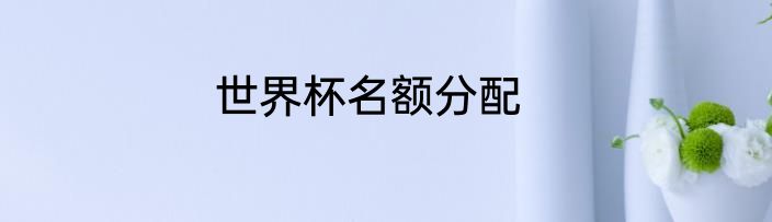 世界杯名额分配