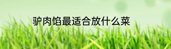 驴肉馅最适合放什么菜