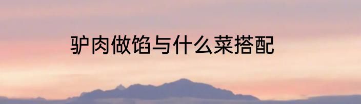驴肉做馅与什么菜搭配