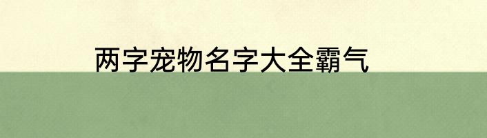 两字宠物名字大全霸气