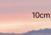10cm大概有多长