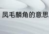 凤毛麟角的意思 凤毛麟角是什么意思