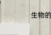 生物的英语怎么写