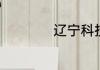 辽宁科技大学怎么样