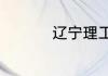 辽宁理工是什么个学校